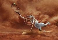 home6-image8-copyright